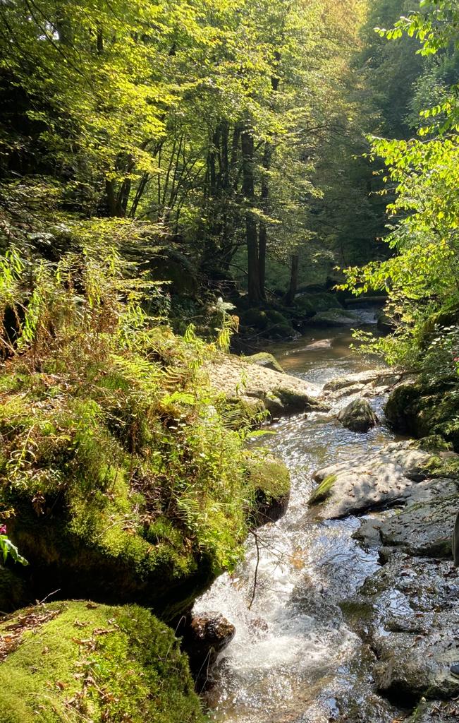 Bergweg